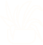 POTTED
PLANTATION