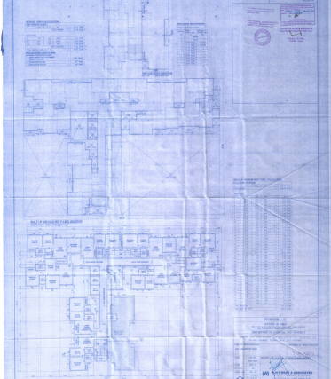 Nakshatra Auris Floor Plan 3